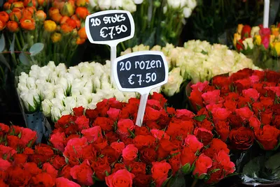 Ceny w Holandii w 2014 roku