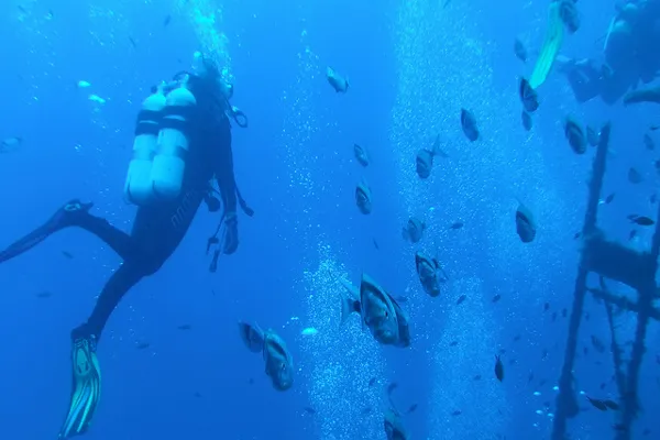 Cypr | Zenobia jest wyzwaniem dla nurków Cypr | Zenobia jest wyzwaniem dla nurków