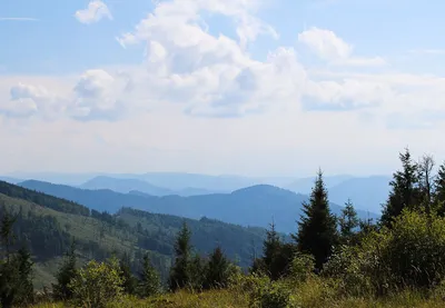 Kiedy jechać na Ukrainę?