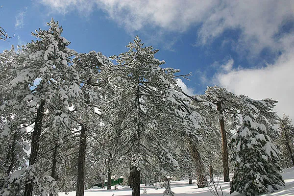 Cypr | Zima w górach Troodos Cypr | Zima w górach Troodos