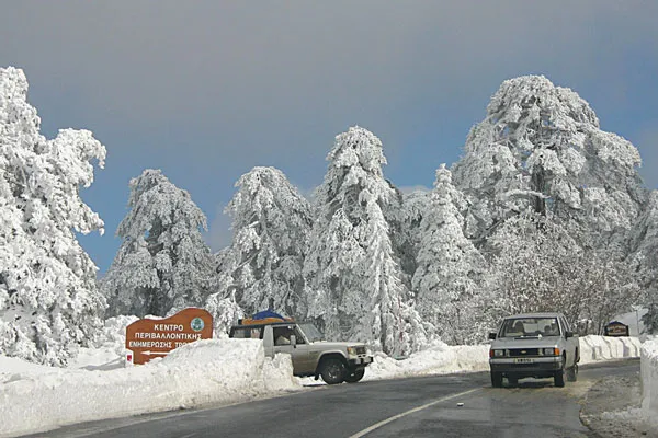 Cypr | Troodos zimą Cypr | Troodos zimą