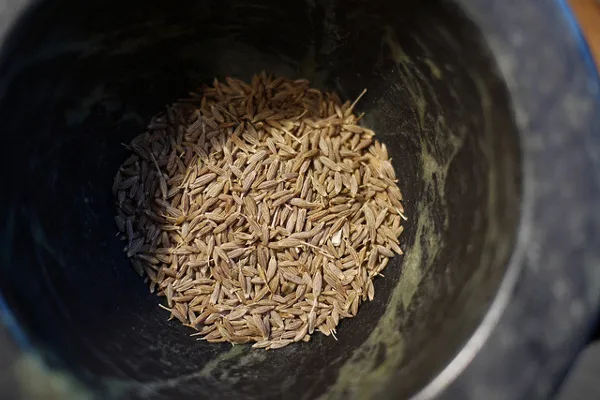 Tunezja | Kumin Tunezja | Kumin